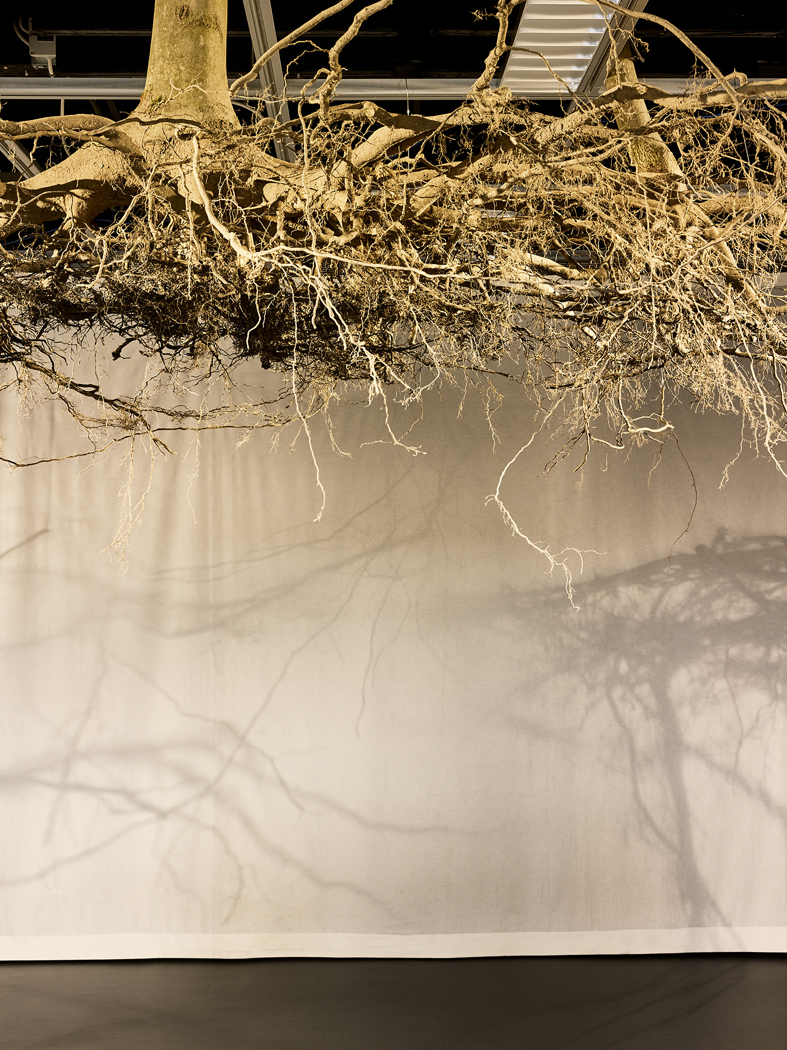 LIVE MATTER - Design Vegetal